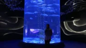 Jakarta Aquarium & Safari (Foto: kabarbintang.id)