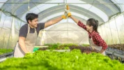 Generasi Muda Perlu Berkarier di Sektor Pertanian