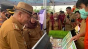 Subang