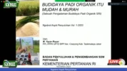 padi