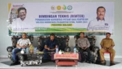 Seram Barat