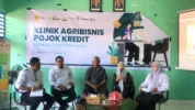 Petani