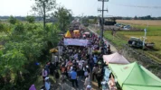 csa kementan