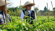 Farming