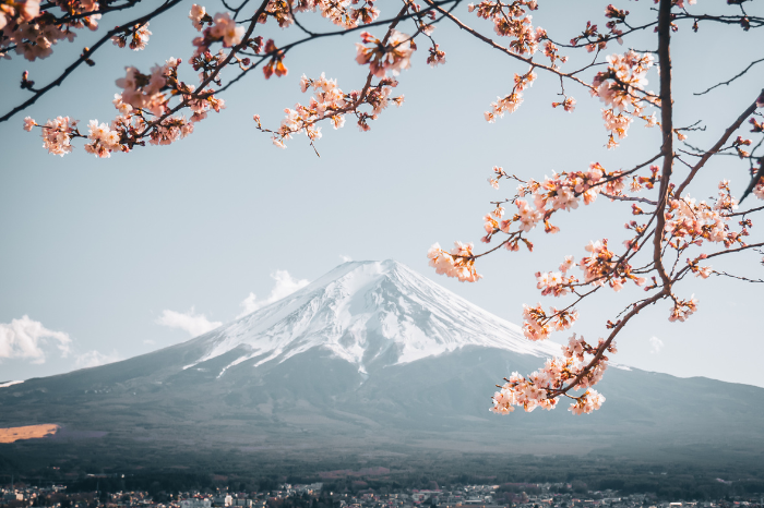Gunung Fuji Jepang akan dipasang penghalang tutup pemandangan. (Foto: Pexels/Life of Wu)