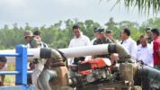 Mentan Cek Pompanisasi di Merauke, Targetkan Pertanian Modern