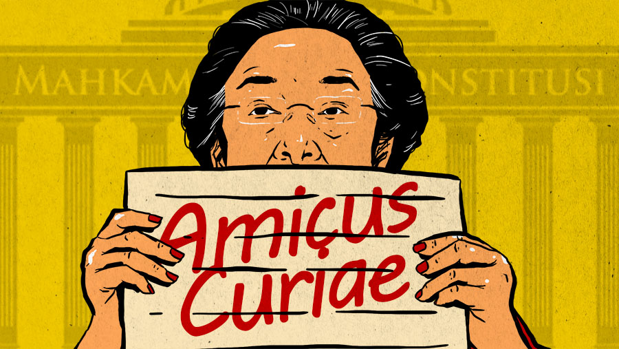 Amicus Curiae