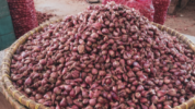Harga Bawang Merah Melonjak Drastis, Capai Rp84 Ribu per Kg