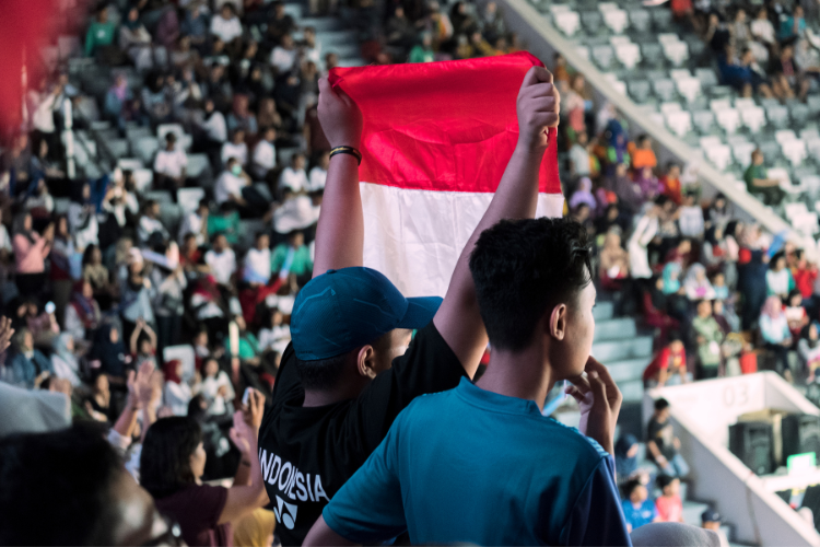 Tim nasional indonesia