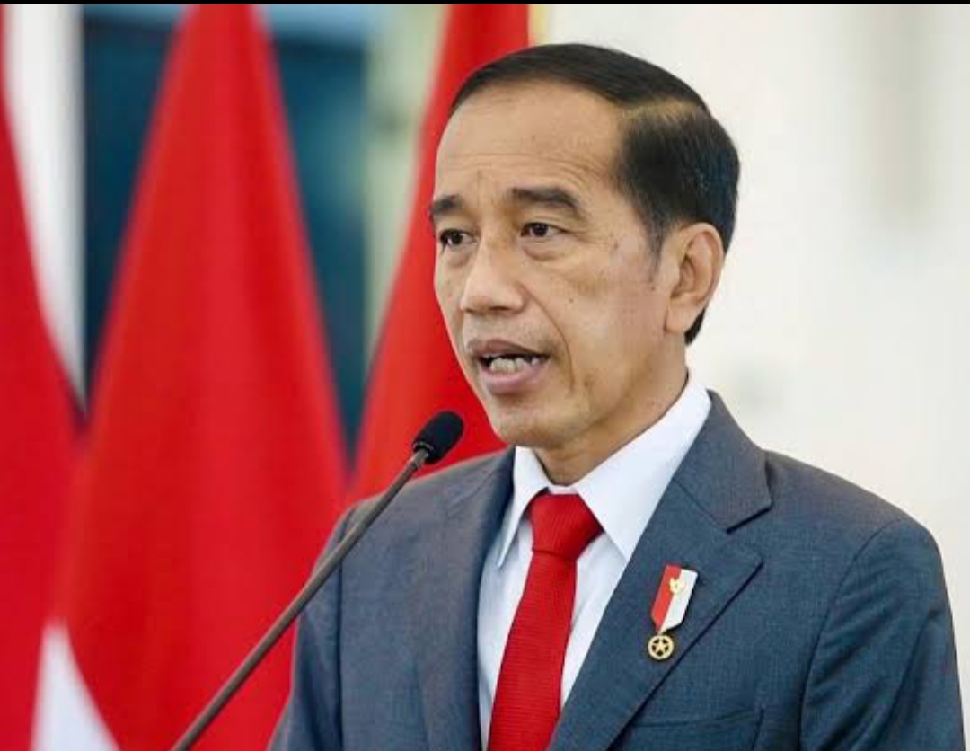 Jokowi Ungkap Ambisi Kuasai Pasar Nikel Dunia Usai Bertemu Presiden UEA