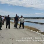 PAT, Solusi Cepat Mitigasi El Nino Menuju Swasembada Pangan dan Lumbung Pangan Dunia