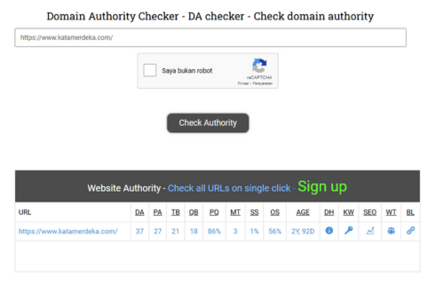 Domain Authority Checker