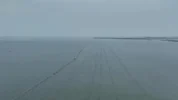Skandal Pagar Laut