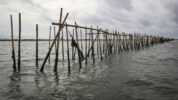 Pembangunan Pagar Misterius di Laut