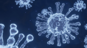 Virus HMPV
