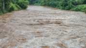 Balita Terseret Arus Kali Ciliwung