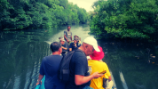 Explore Jailolo