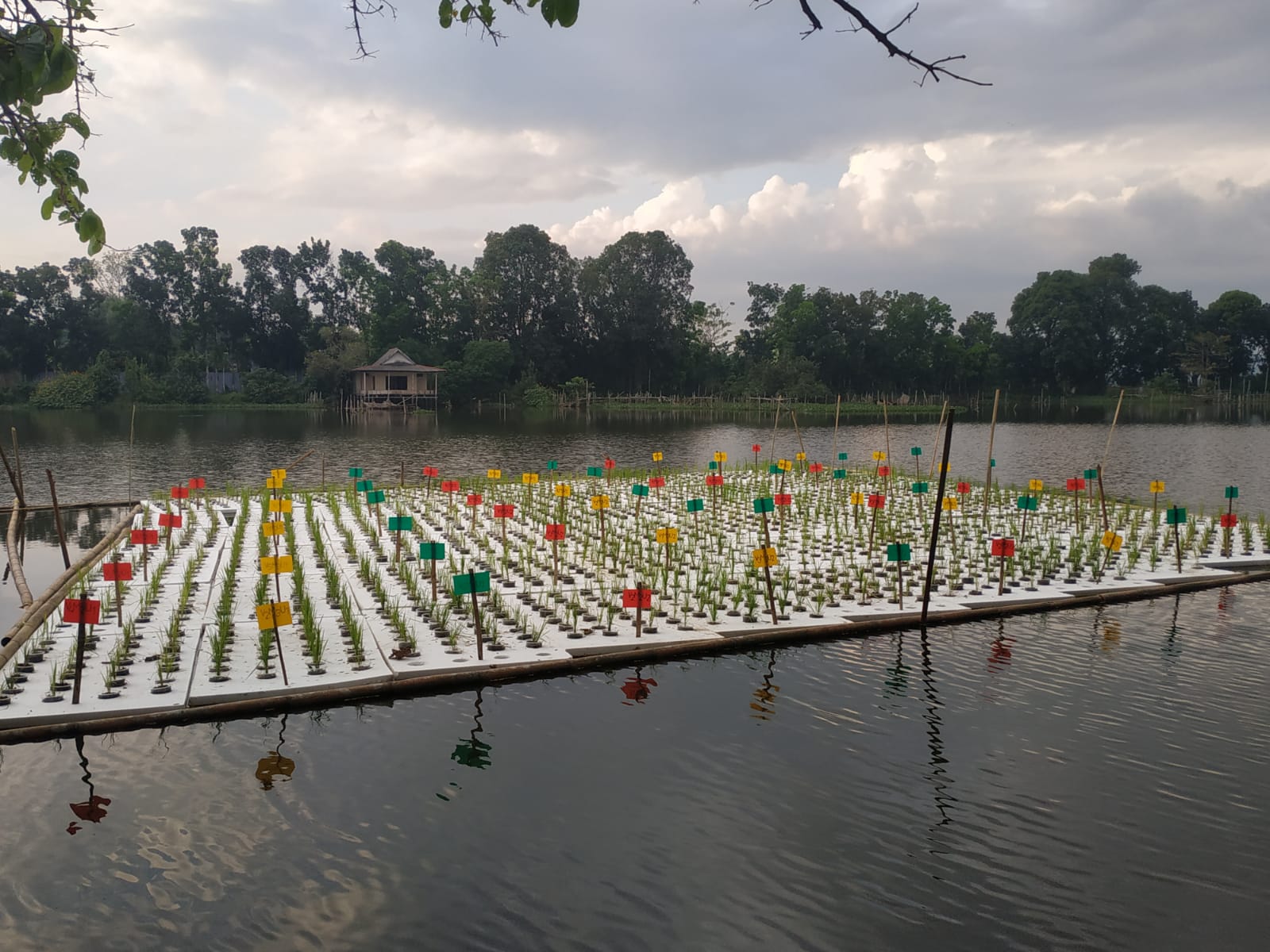Kementan